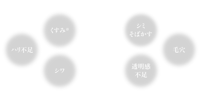 通常価格6600円(税込)定期初回価格1996円(税込)