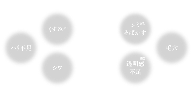 通常価格6600円(税込)定期初回価格1996円(税込)