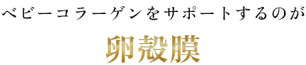 ベビーコラーゲンをサポートするのが卵殻膜