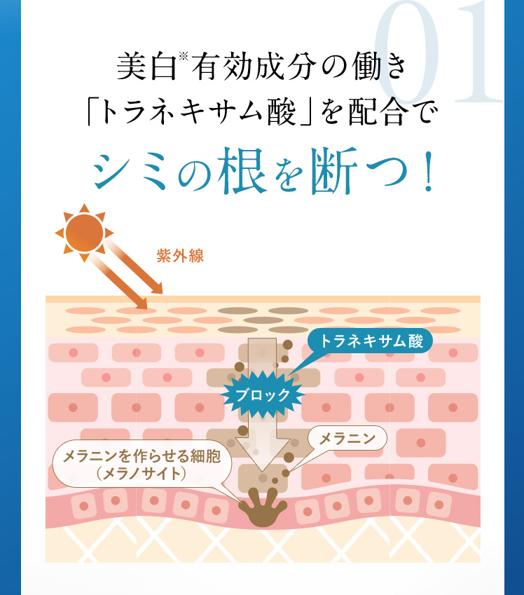 美白※有効成分の働き「トラネキサム酸」を配合でシミの根を断つ！