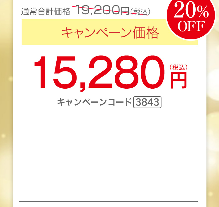 キャンペーン価格20％OFF 15,280円（税込）キャンペーンコード3843