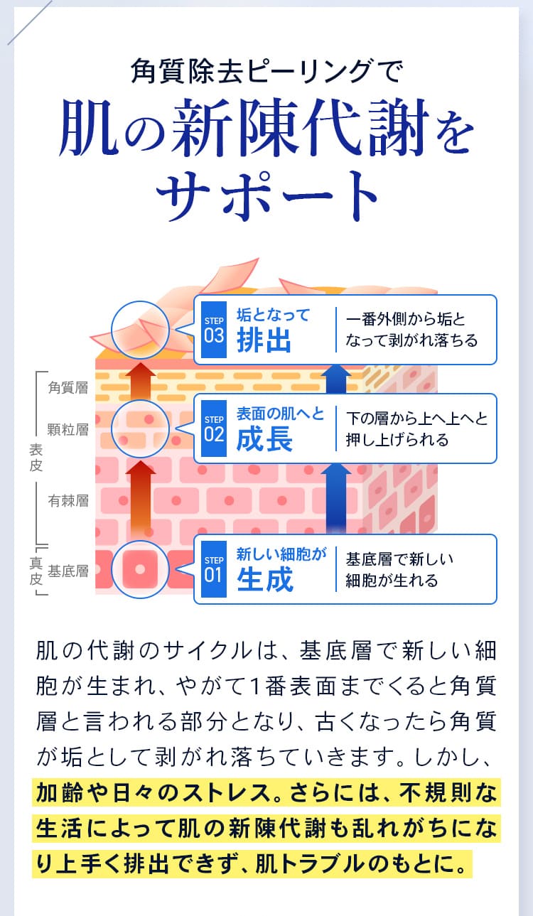 肌の新陳代謝をサポート