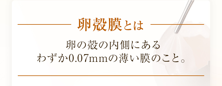 卵殻膜とは