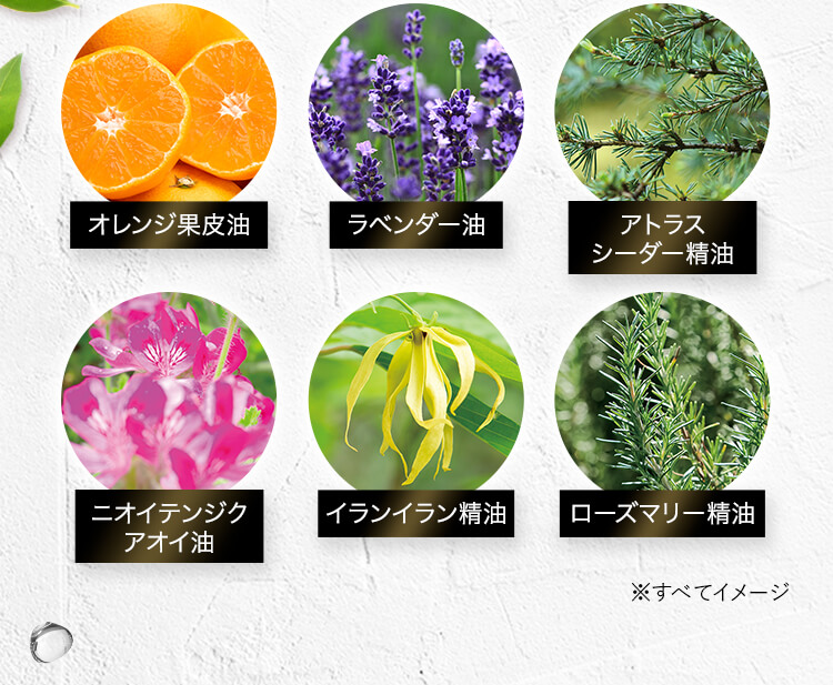 オレンジ果皮油 ラベンダー油 アトラスシーダー精油 ニオイテンジクアオイ油 イランイラン精油 ローズマリー精油