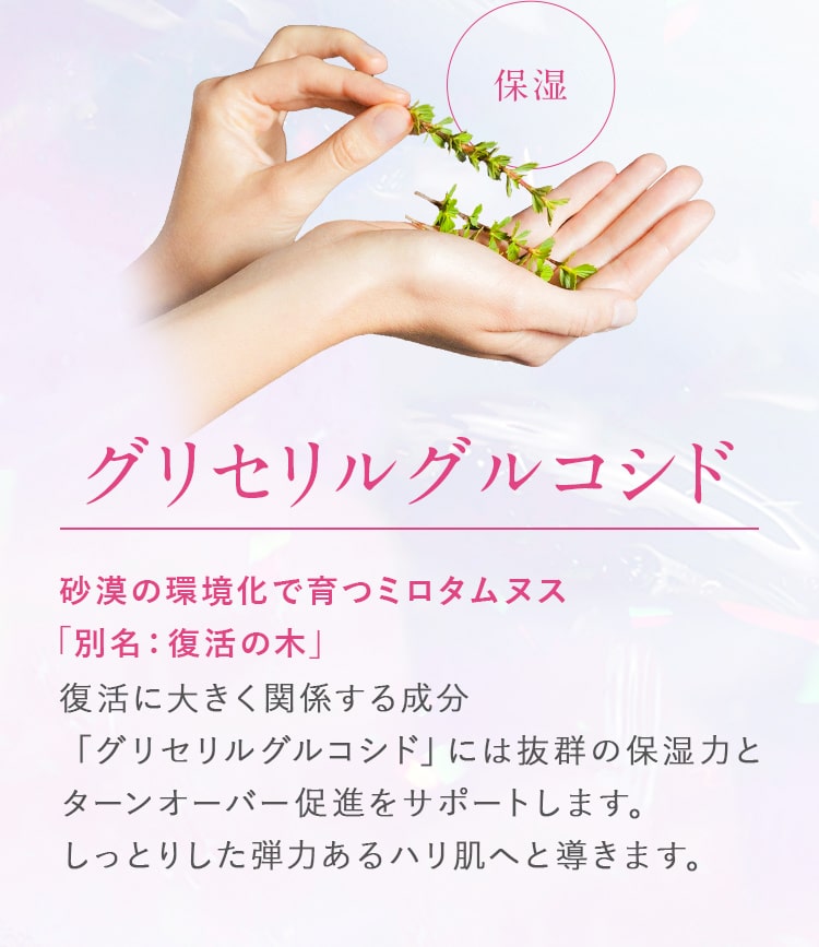 保湿_グリセリルグルコシド_砂漠の環境化で育つミロタムヌス_復活に大きく関係する成分「グリセリルグルコシド」には抜群の保湿力とターンオーバー促進をサポートします。しっとりした弾力あるハリ肌へと導きます。