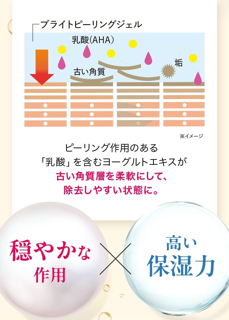 ピーリング作用のある「乳酸」を含むヨーグルトエキスが古い角質層を柔軟にして、除去しやすい状態に。