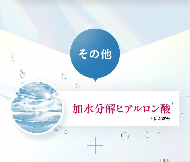 その他 「加水分解ヒアルロン酸」＊保湿成分