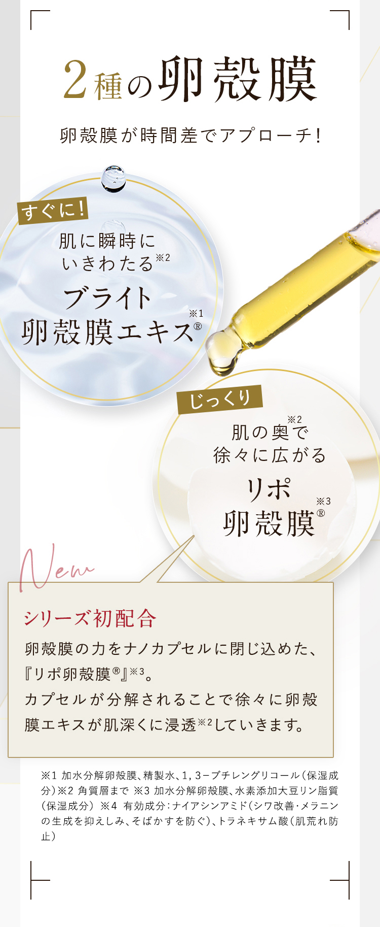 2種の卵殻膜 卵殻膜が時間差でアプローチ！