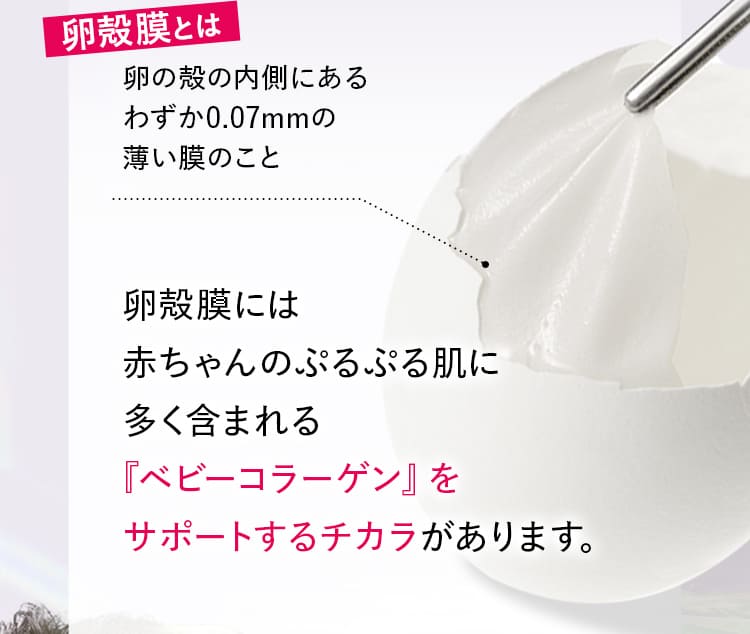 卵殻膜とは卵の殻の内側にある わずか0.07mmの薄い膜のこと卵殻膜には 赤ちゃんのぷるぷる肌に 多く含まれる 『ベビーコラーゲン』を サポートするチカラがあります。