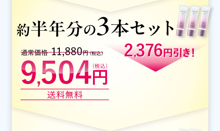 約半年分の3本セット!通常価格 11,880円（税込）を、2,376円引き!9,504円（税込）送料無料