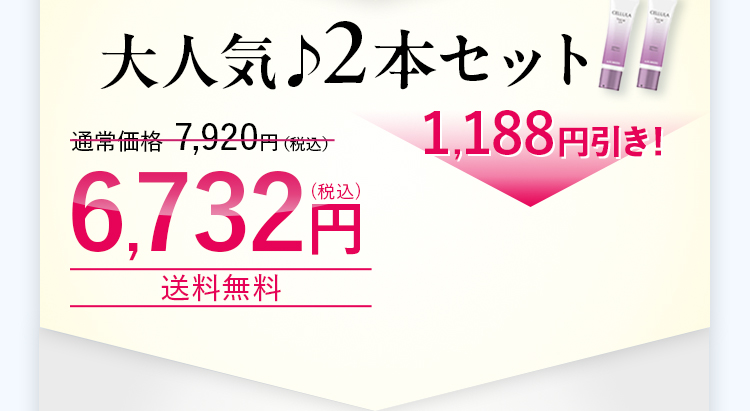 大人気♪2本セット!通常価格 7,920円（税込）を、1,188円引き!6,732円（税込）※送料+550 円