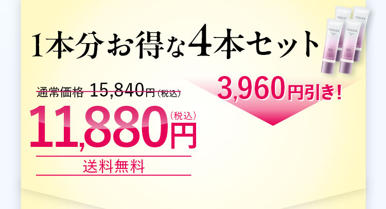 1本分お得な4本セット!通常価格 15,840円（税込）を、3,960円引き!11,880円（税込）送料無料