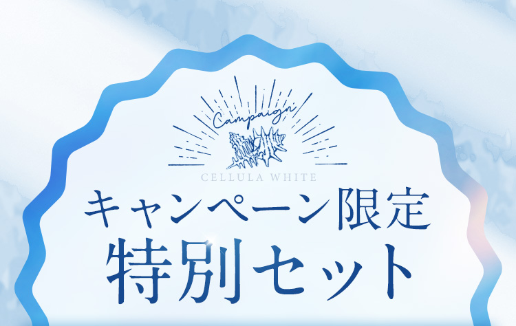 キャンペーン限定!特別セット
