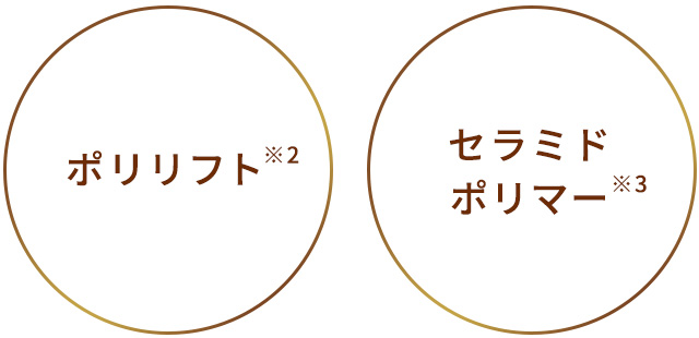 ポリリフト※1、セラミドポリマー※2
