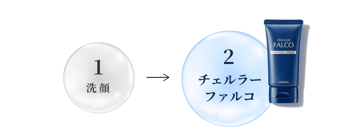 1 洗顔 2 チェルラーファルコ