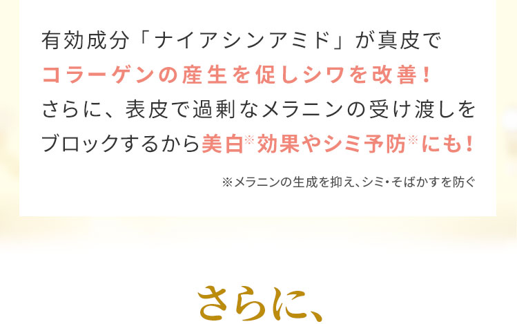 有効成分「ナイアシンアミド」が真皮でコラーゲンの産生を促しシワを改善！