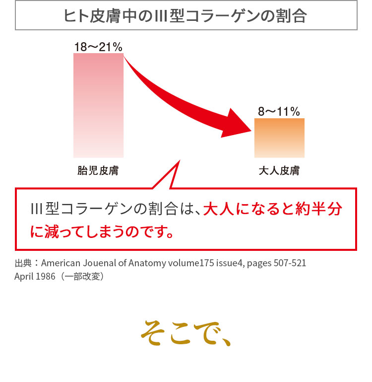 ヒト皮膚中のⅢ型コラーゲンの割合