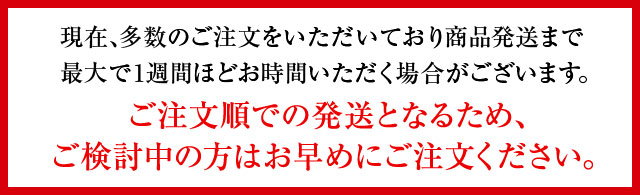 現在、多数のご注文をいただいており商品発送まで最大で2週間ほどお時間いただく場合がございます。ご注文順での発送となるため、ご検討中の方はお早めにご注文ください。