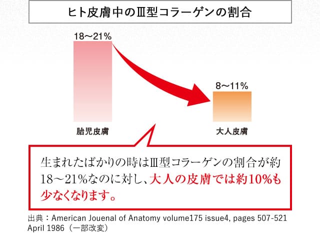 ヒト皮膚中のⅢ型コラーゲンの割合　生まれたばかりの時はⅢ型コラーゲンの割合が約18～21%なのに対し、大人の皮膚では約10％も少なくなります。