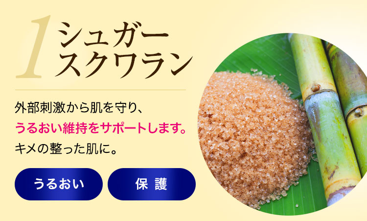 フラーレン：エイジングの原因を根本からケア。乾燥や刺激から肌を守り、うるおいを与えてキメの整った