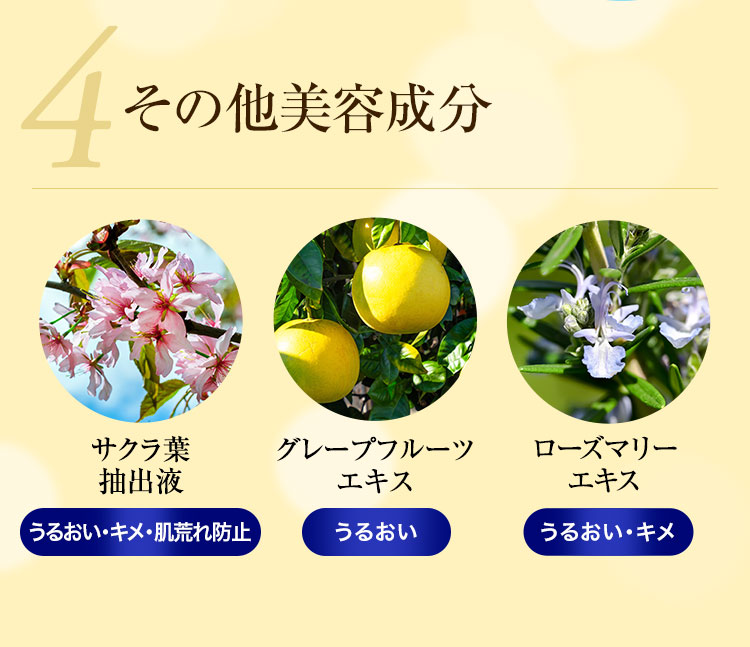 ３つの幹細胞