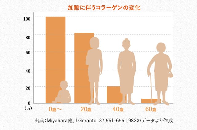 加齢に伴うコラーゲンの変化