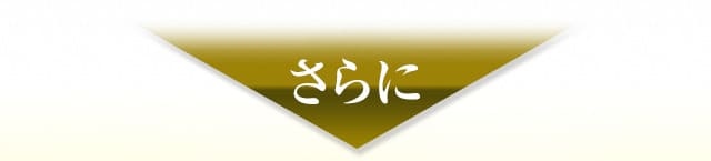 さらに