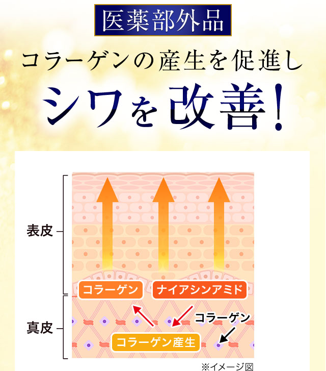 そこで、医薬部外品 コラーゲンの産生を促進しシワを改善！