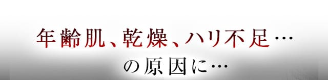 年齢肌、乾燥、ハリ不足…の原因に…