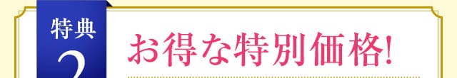お得な特別価格！