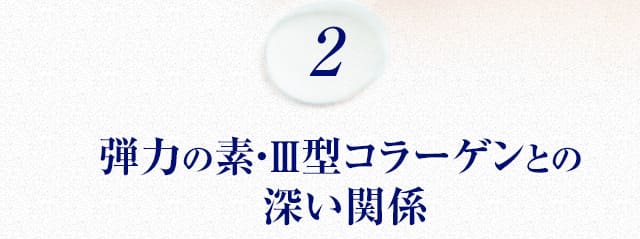 弾力の素・Ⅲ型コラーゲンとの深い関係