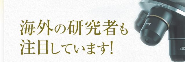 海外の研究者も注目しています！