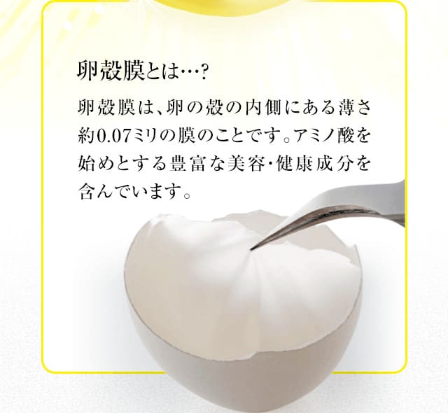 卵殻膜とは…？卵殻膜は、卵の殻の内側にある薄さ約0.07ミリの膜のことです。アミノ酸を始めとする豊富な美容・健康成分を含んでいます。