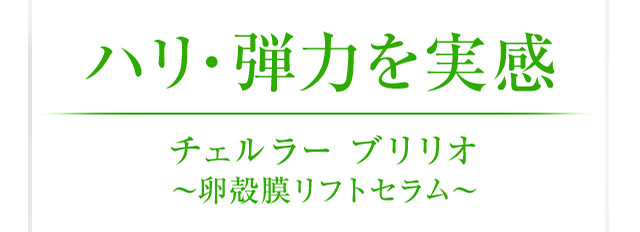 ハリ・弾力を実感