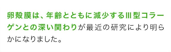 卵殻膜は、年齢とともに減少する3型コラーゲンとの深い関わりが最近の研究により明らかになりました。