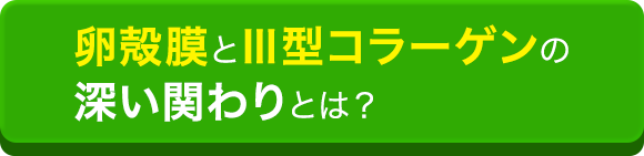 卵殻膜と3型コラーゲンの深い関わりとは？