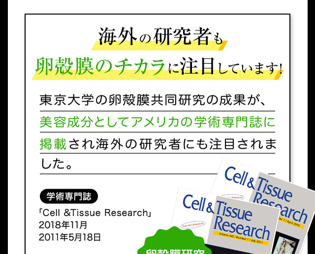 海外の研究者も卵殻膜のチカラに注目しています！東京大学の卵殻膜研究の成果が、美容成分としてアメリカの学術専門誌に掲載され海外の研究者にも注目されました。学術専門誌 「Cell＆Tissue Research」2018年11月,2011年5月18日