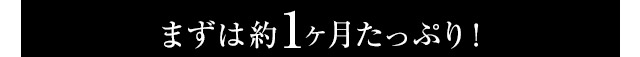 まずは約1ヶ月たっぷり使って実感！