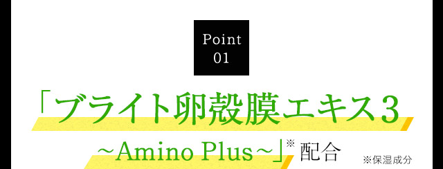 Point01 高精度・高濃度 新開発の「ブライト卵殻膜エキス2～Amino Plus～」配合