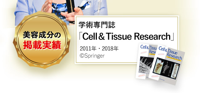 「食」における卵殻膜の可能性の研究など 加藤 久典先生 美容成分の掲載実績 学術専門誌 ｢Cell ＆ Tissue Research｣ 2011年5月18日