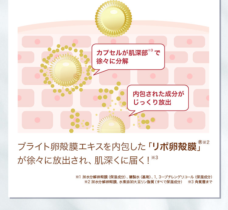 ブライト卵殻膜エキスを内包した「リポ卵殻膜」が徐々に放出され、肌深くに届く！