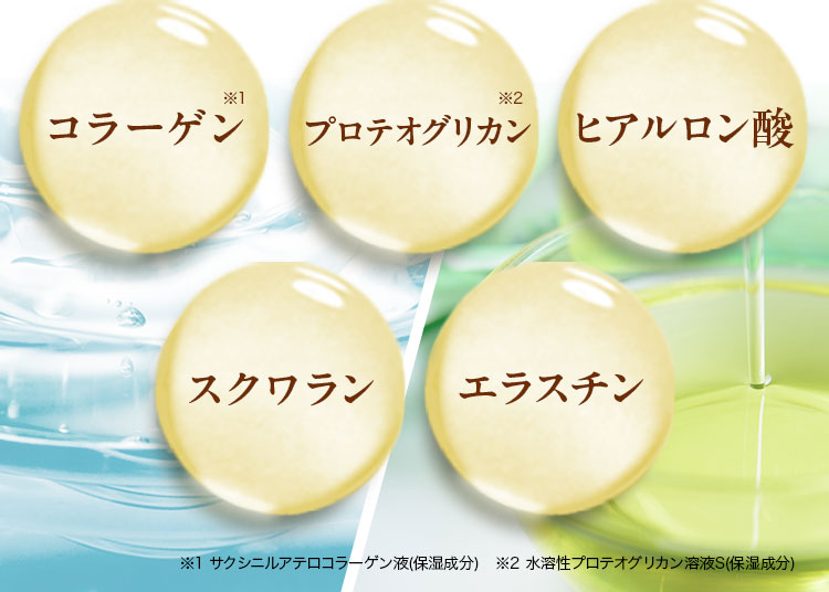 コラーゲン プロテオグリカン ヒアルロン酸 スクワラン エラスチン