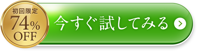 今すぐ試してみる