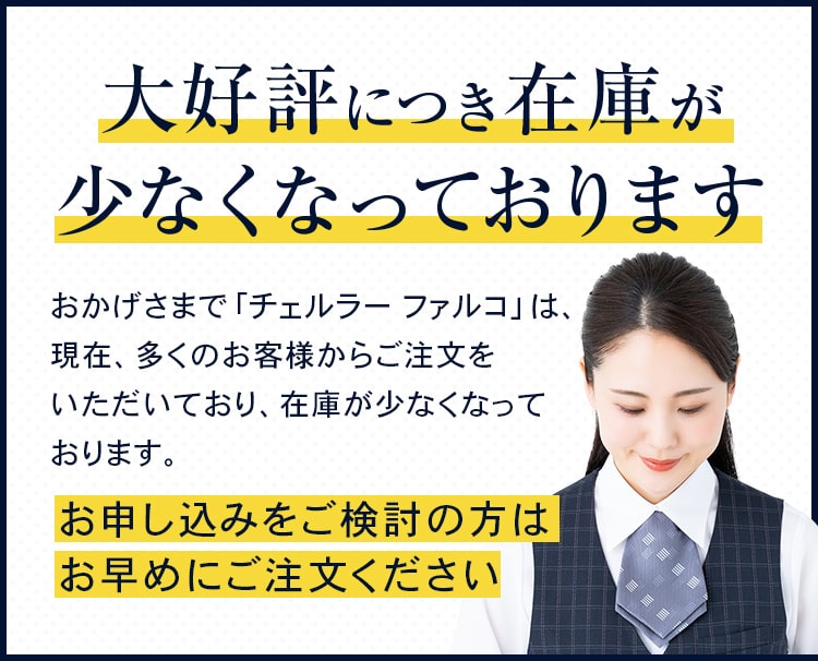 大好評につき在庫が 少なくなっております