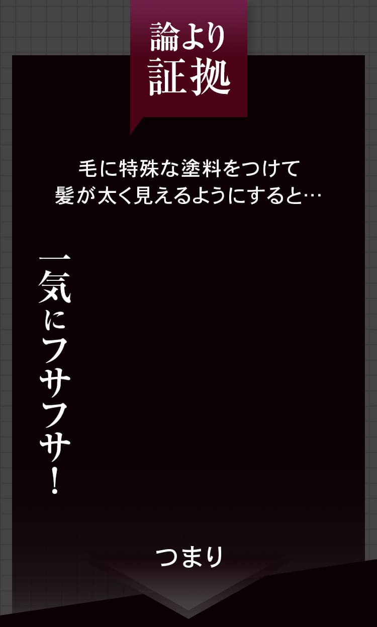 論より証拠 毛に特殊な塗料をつけて髪が太く見えるようにすると…一気にフサフサ!