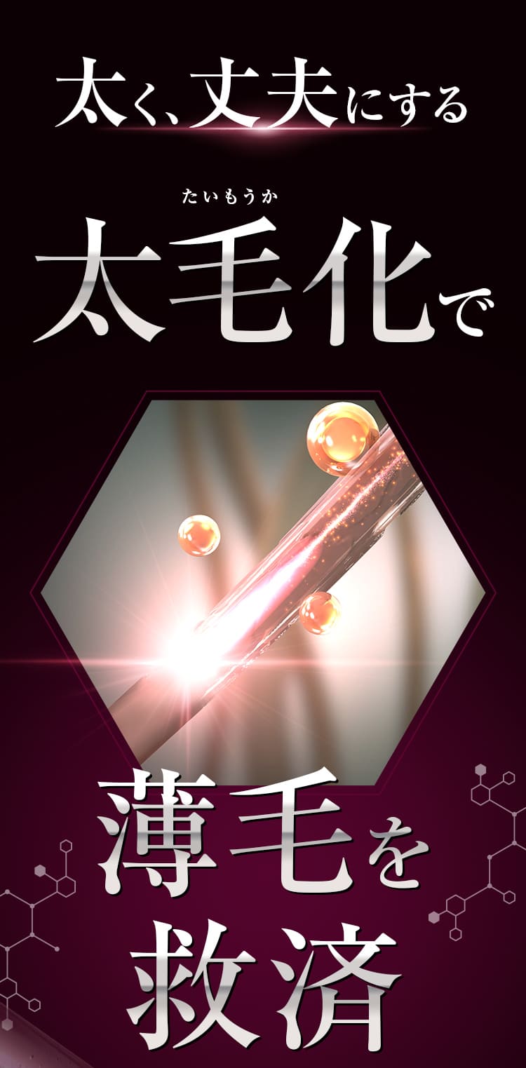 太く、丈夫にする太毛化で薄毛を救済