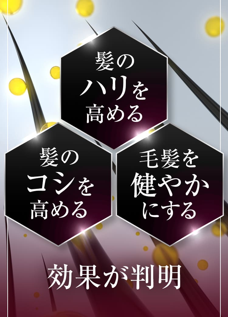 髪のハリを高める 髪のコシを高める 毛髪を健やかにする