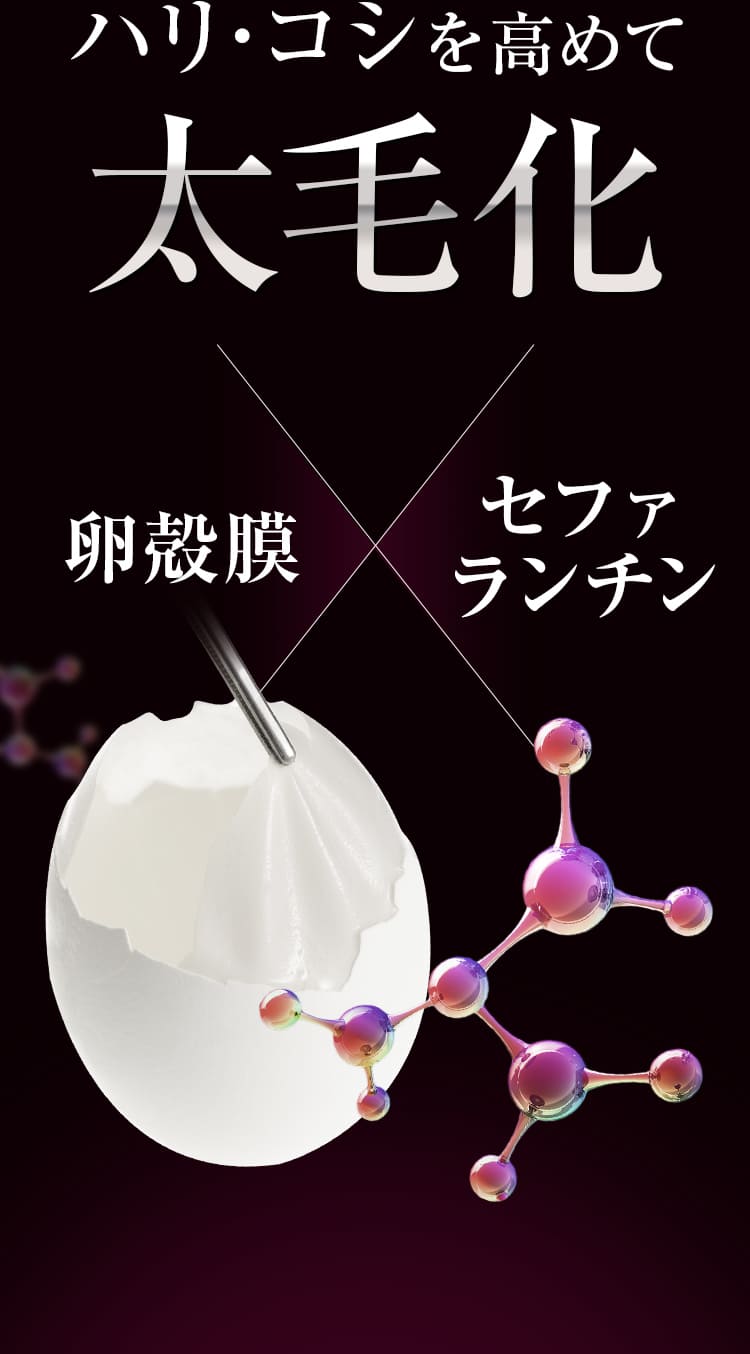 ハリ・コシを高めて太毛化 卵殻膜×セファ
					ランチン