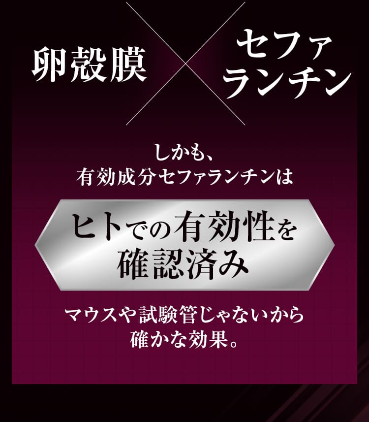 卵殻膜×セファランチン