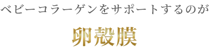 ベビーコラーゲンをサポートするのが卵殻膜